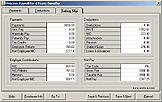 Andica Payroll software on screen payslip visible while processing payroll.