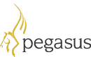 Pegasus Cirtified Partner